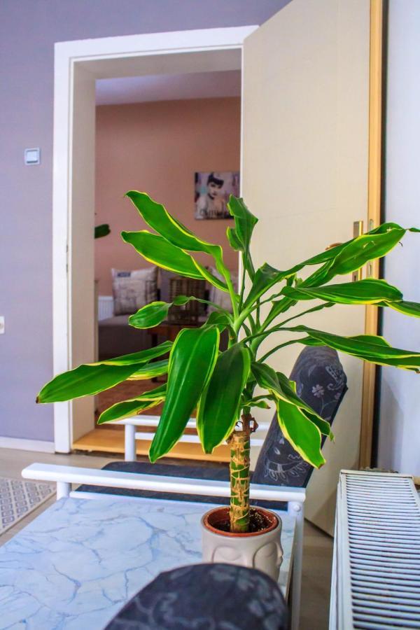 Bb Downtown Apartment Баина Баща Екстериор снимка