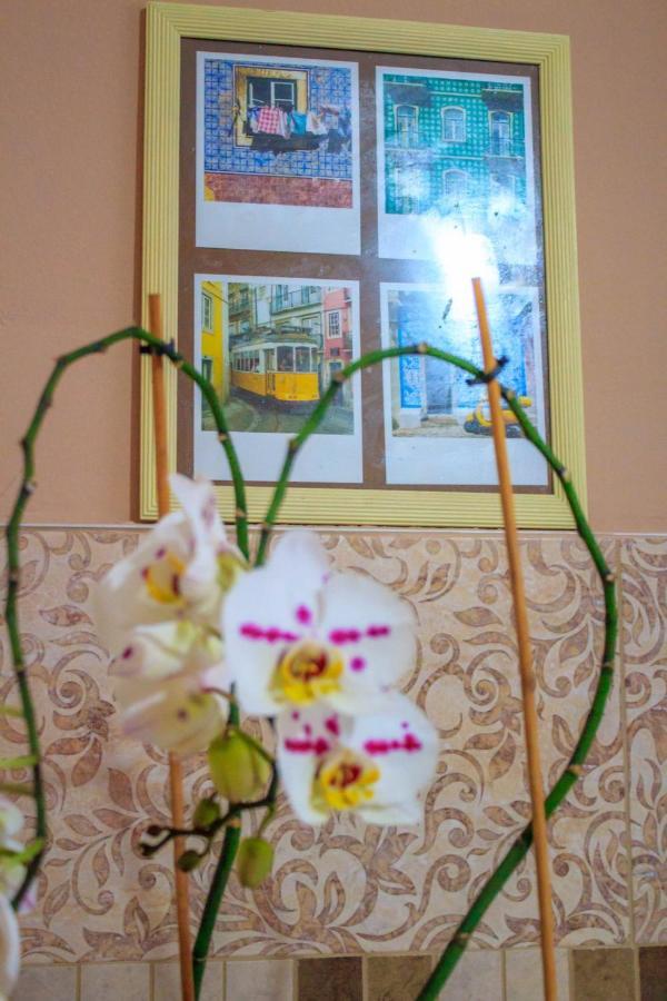 Bb Downtown Apartment Баина Баща Екстериор снимка
